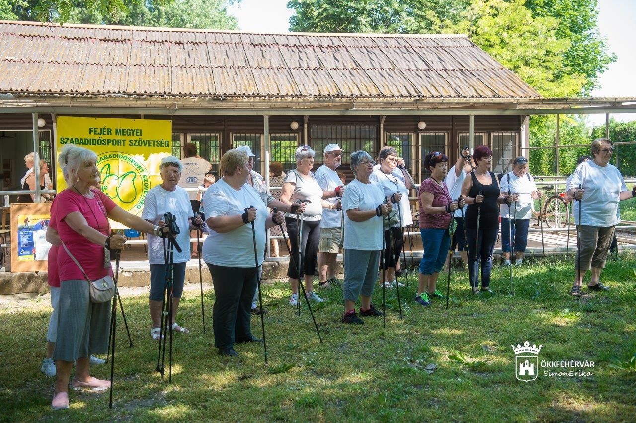 Nordic walking díjmentes nyári foglalkozások Székesfehérváron
